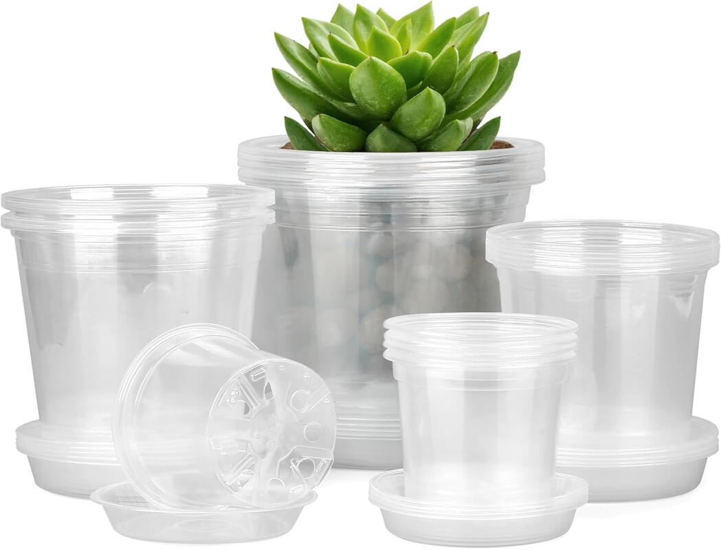 Nursery pots for seedlings