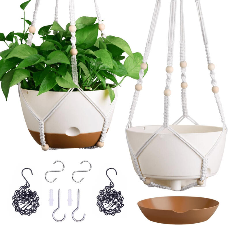 Hanging basket for plants