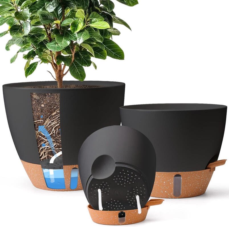 Self watering pot for plants